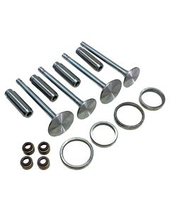 Комплект клапанов (впускной выпускной) для головки блока цилиндров JD2100		