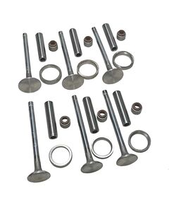 Комплект клапанов (впускной выпускной) для головки блока цилиндров YD385 T