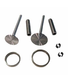 Комплект клапанов (впускной выпускной) для головки блока цилиндров SF138