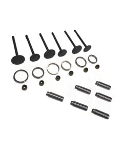 Комплект клапанов (впускной выпускной) для головки блока цилиндров JD3102 (Jinma 404)