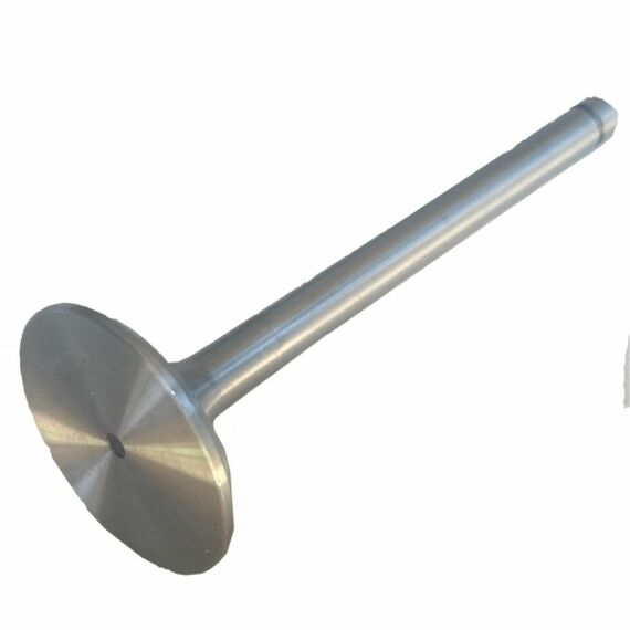 Клапан впускной DL190-12