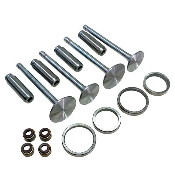 Комплект клапанов (впускной выпускной) для головки блока цилиндров JD295/TY295IT Комплект клапанов (впускной выпускной) для головки блока цилиндров JD295/TY295IT