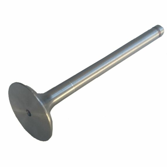 Клапан выпускной DL190-12 Клапан выпускной DL190-12