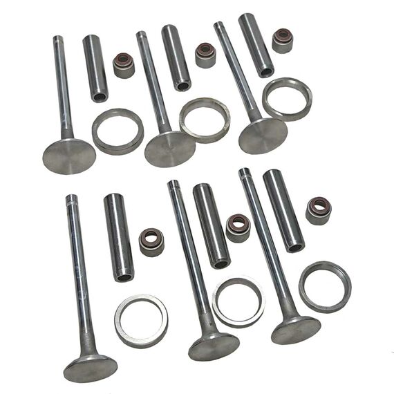 Комплект клапанов (впускной выпускной) для головки блока цилиндров YD385 T