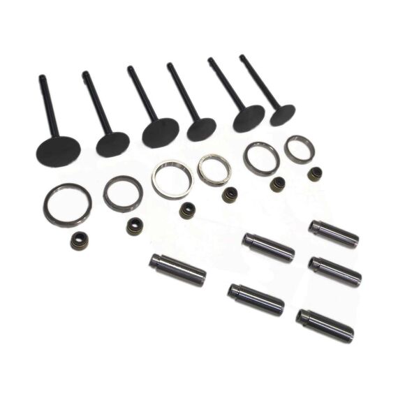 Комплект клапанов (впускной выпускной) для головки блока цилиндров JD3102 (Jinma 404)