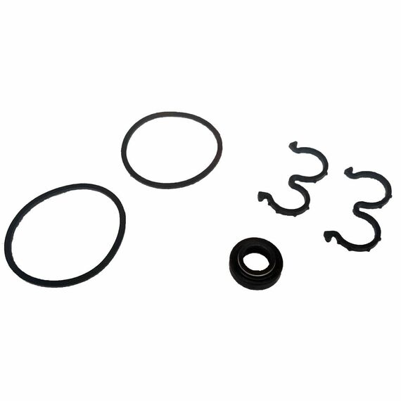 Ремкомплект насоса шестеренчатого CBN/ CBJ -314 (Сальник 17х30х10)